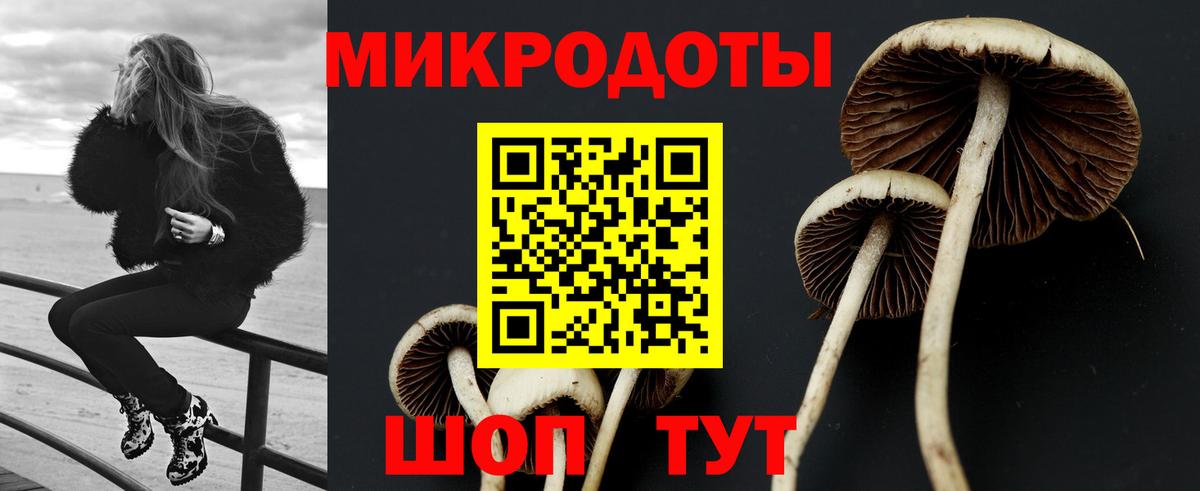 Кореновск  Галлюциногенные грибы Psilocybine cubensis  Псилоцибиновые грибы Magic Shrooms  Вход с VPN 